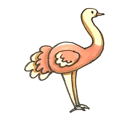 鴕鳥(niǎo)彩色簡(jiǎn)筆畫(huà)的畫(huà)法4