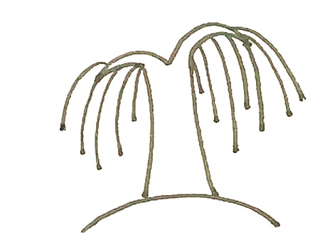 柳樹彩色簡(jiǎn)筆畫的畫法2