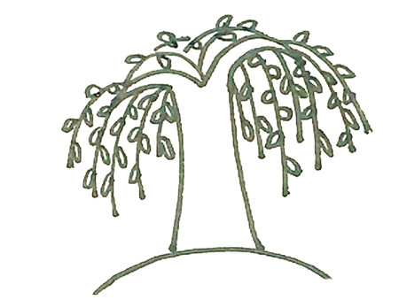 柳樹彩色簡(jiǎn)筆畫的畫法3