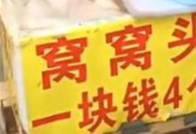 日常生活：窩窩頭一塊錢四個(gè)什么梗
