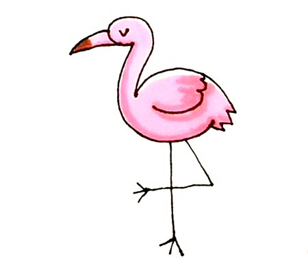 火烈鳥(niǎo)簡(jiǎn)筆畫(huà)彩色4