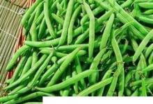 日常生活:四季豆的營養(yǎng)價(jià)值
