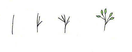 各種花朵的畫(huà)法簡(jiǎn)筆畫(huà)圖片6