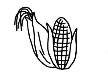 水果蔬菜簡(jiǎn)筆畫(huà)圖片大全4