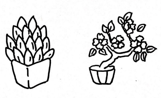 各種可愛(ài)的盆栽簡(jiǎn)筆畫(huà)圖片2