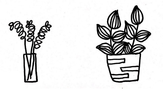 植物盆栽簡筆畫圖片大全6