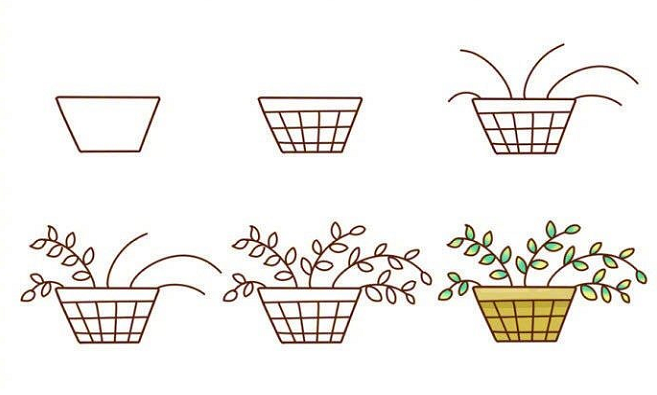 植物盆栽簡(jiǎn)筆畫圖片帶顏色1
