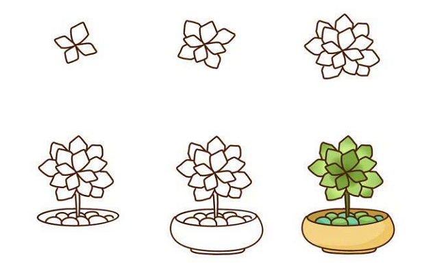 植物盆栽簡(jiǎn)筆畫圖片帶顏色3