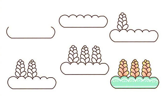 植物盆栽簡(jiǎn)筆畫圖片帶顏色5