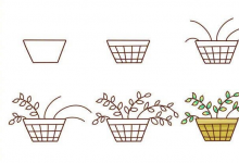 彩色植物盆栽簡筆畫