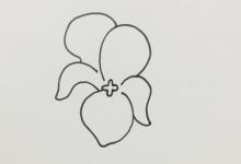 如何畫紫羅蘭簡單又漂亮
