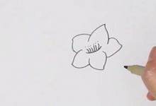 桃花簡(jiǎn)筆畫步圖