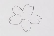 報(bào)春花簡單筆畫示意圖