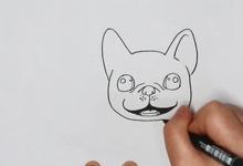 如何畫法國(guó)斗牛犬簡(jiǎn)筆畫？