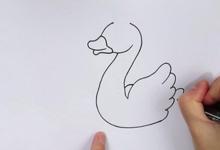 天鵝簡筆畫步驟教程