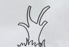 河邊垂柳簡(jiǎn)筆畫法