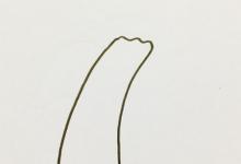 如何畫瀑布簡(jiǎn)筆畫