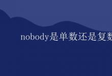 教育資訊：nobody是單數還是復數