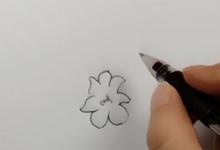 迎春花簡筆畫怎么畫
