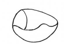 都嘴魚(yú)簡(jiǎn)筆畫(huà)