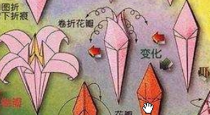 紙花的折法 怎樣折紙花