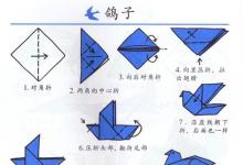 如何用手折鴿子？