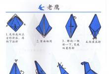 如何用手折鷹？