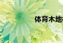 體育木地板價(jià)格的因素