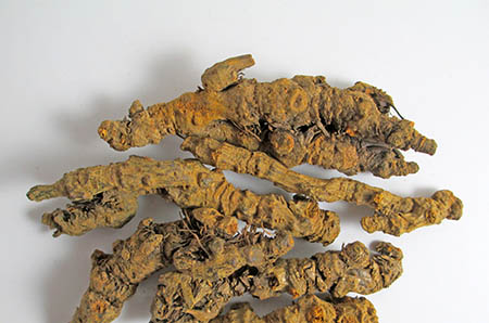 奶粉蓋子廢物利用，畫出可愛(ài)貓頭鷹7