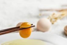 紙管手工動(dòng)物