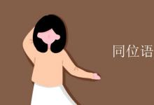 教育資訊:同位語(yǔ)修飾主語(yǔ)嗎