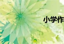 小學(xué)作文怎么寫(xiě)？