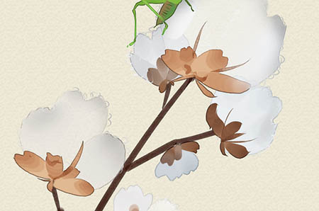 幼兒手工皺紋紙花朵5