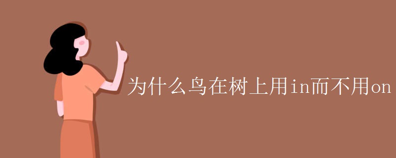 為什么鳥在樹(shù)上用in而不用on