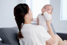 這是所有小動(dòng)物工藝品中你最不應(yīng)該錯(cuò)過的