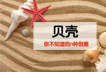 古代人把它當(dāng)錢 現(xiàn)代幼兒園老師把它當(dāng)寶