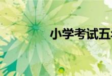 小學(xué)考試五年級(jí)作文怎樣寫(xiě)