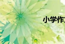 小學(xué)作文如何選材