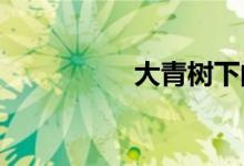 大青樹下的小學(xué)手抄報(bào)