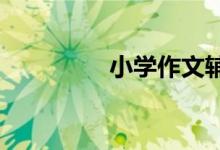 小學(xué)作文輔導(dǎo)：如何開頭