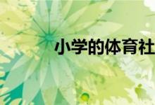 小學的體育社團活動都有哪些？