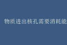 教育資訊：物質(zhì)進出核孔需要消耗能量嗎