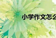 小學(xué)作文怎么積累好詞,成語？