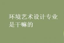 教育資訊：環(huán)境藝術(shù)設計專業(yè)是干嘛的