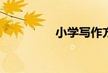 小學(xué)寫作方法有哪幾種？