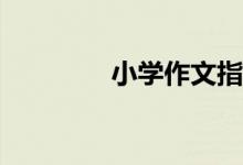 小學(xué)作文指導(dǎo)：如何點題？