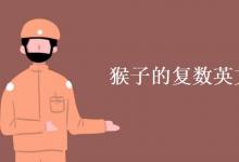 教育資訊:猴子的復(fù)數(shù)英文怎么寫