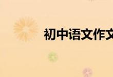 初中語(yǔ)文作文人物描寫(xiě)的方法