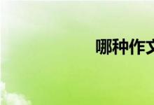哪種作文類(lèi)型好寫(xiě)？