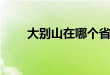 大別山在哪個(gè)?。ù髣e山在哪個(gè)?。?class=